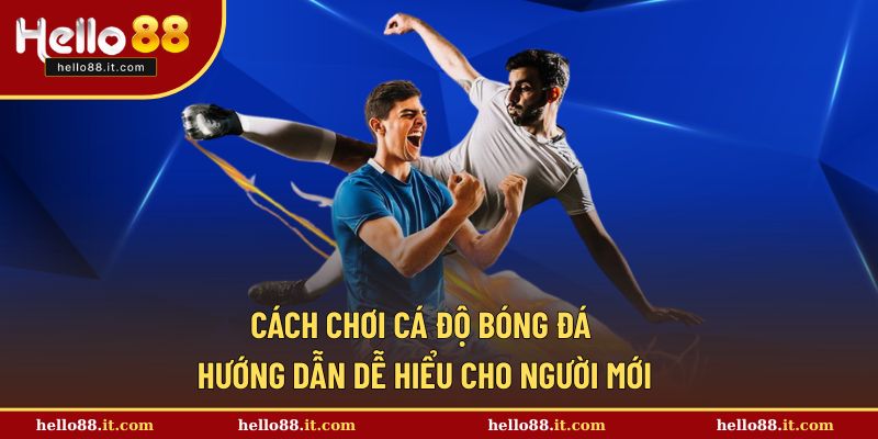 Cách chơi cá độ bóng đá