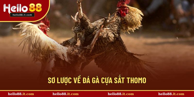Đôi nét cơ bản về tựa game đá gà cựa sắt thomo